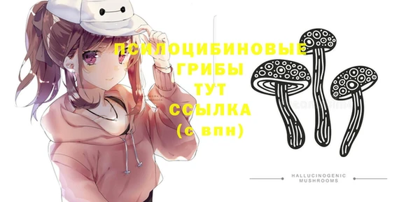 ГАЛЛЮЦИНОГЕННЫЕ ГРИБЫ Абдулино