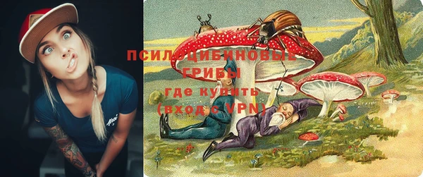 ГАЛЛЮЦИНОГЕННЫЕ ГРИБЫ Абдулино